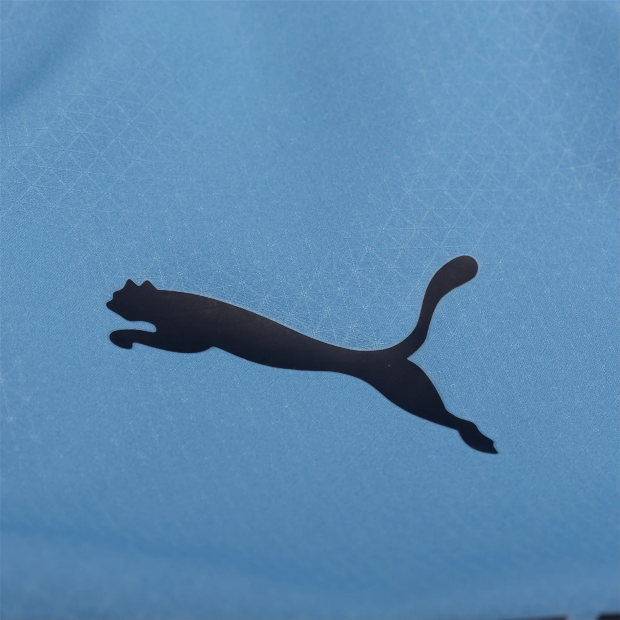 Puma Manchester City Authentic Lewis Home Jersey w/ Champions League Patches 25/26 (Team Light Blue/White)